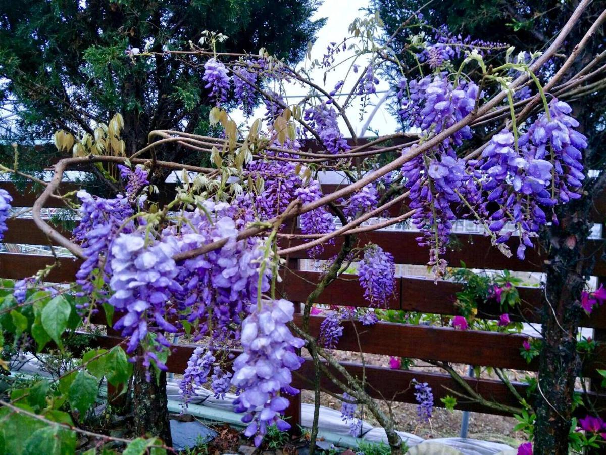 Hua Mu Xing Jing B&B Ren'ai Esterno foto